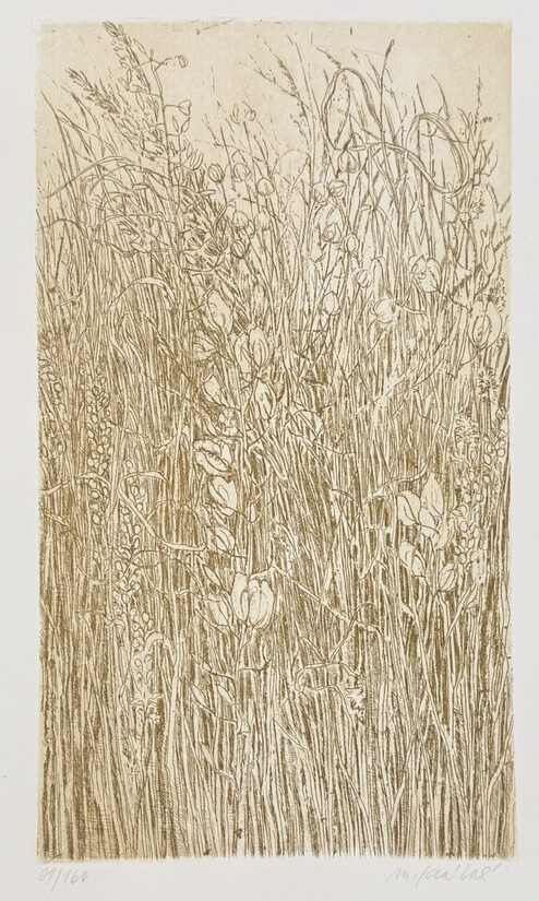 Markéta	Králová: Louka