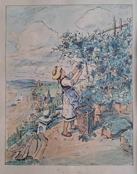 Hérink Ferdinand Hanuš: Na vinici