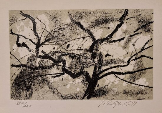 Jaroslav Chudomel: Krajina