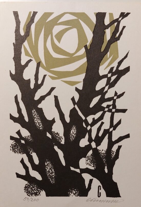 Vojtěch Cynibulk: Staré stromy