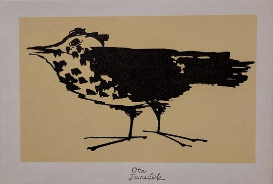 Ota Janeček: Ptáček