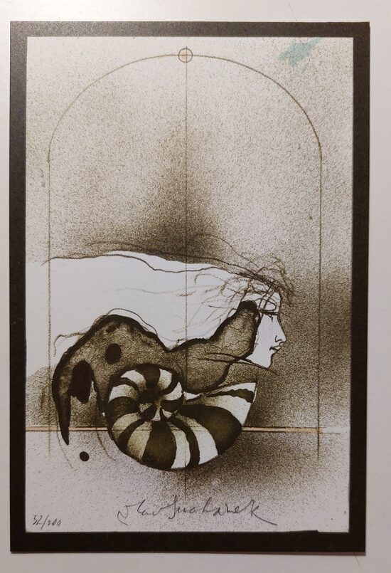 Vladimír Suchánek: Profil