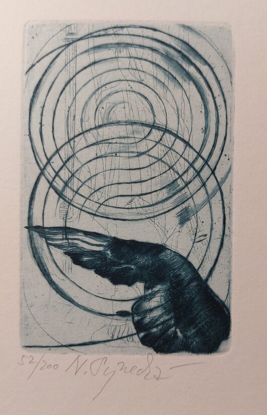 Naděžda Synecká:  Bez názvu