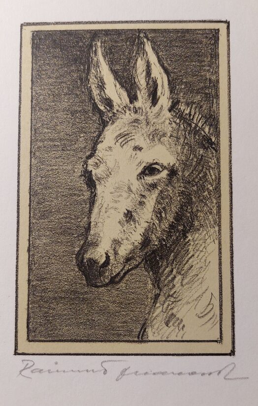 Raimund Ondráček: Osel