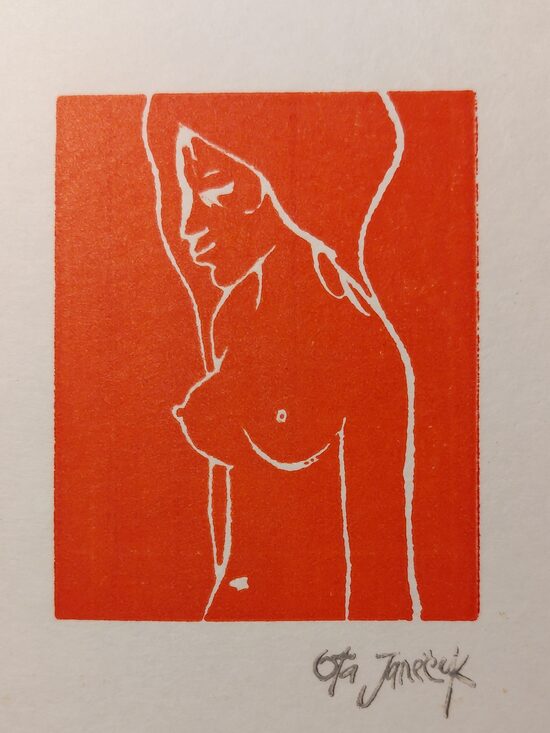 Ota Janeček:  Profil dívky