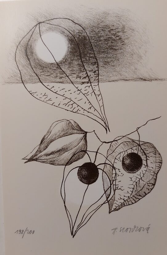 Hana Storchová: Podzim