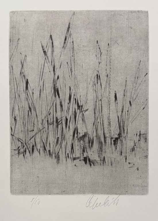 Ladislav Čepelák: Trávy