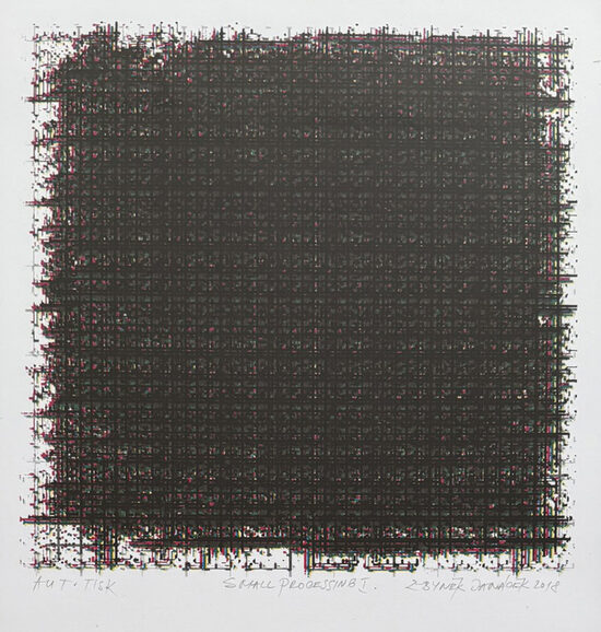 Zbyněk Janáček: Small processing I.