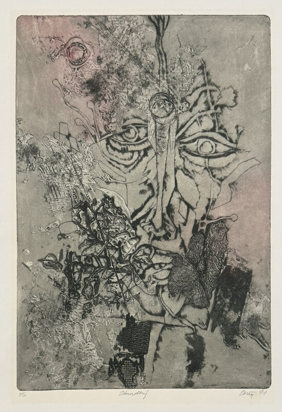 František Alois Černý: Okradený