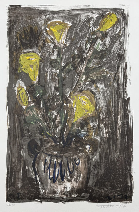 Jakub Špaňhel: Kytice