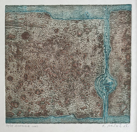 Eduard Ovčáček: Anatomie luny