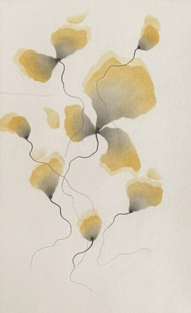 Marián Meško: Seďem roztopážných exotou