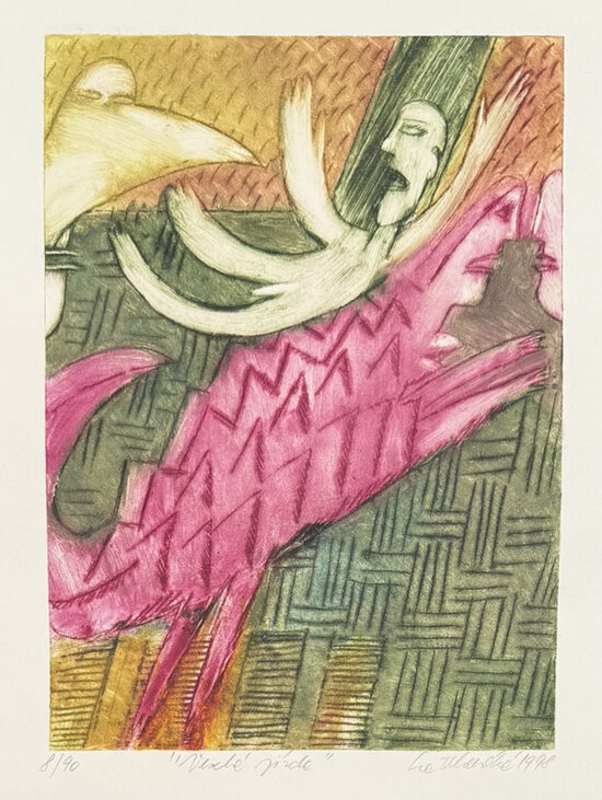 Eva	Vlasáková: Veselá jízda