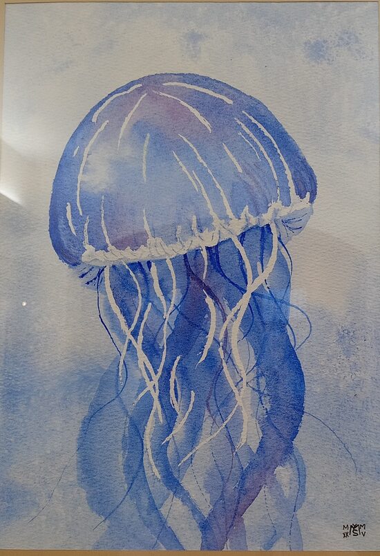 Milan Škrabánek: Meduza