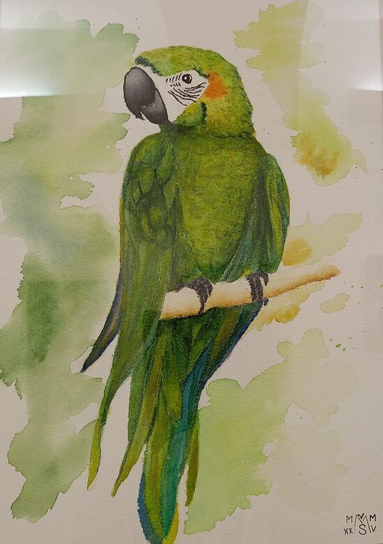 Milan Škrabánek: Papoušek