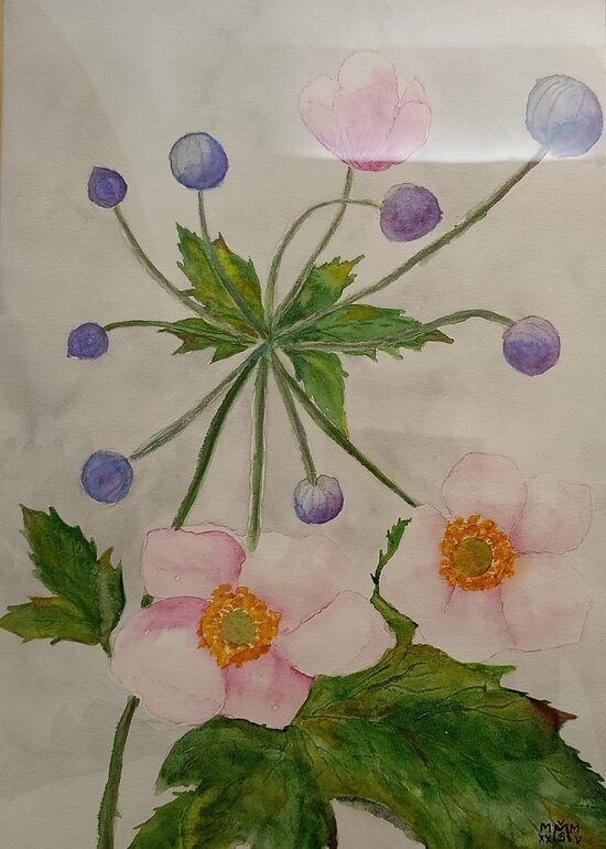 Milan Škrabánek: Sasanovka