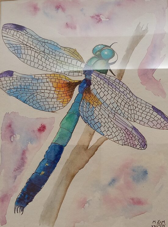 Milan Škrabánek: Vážka