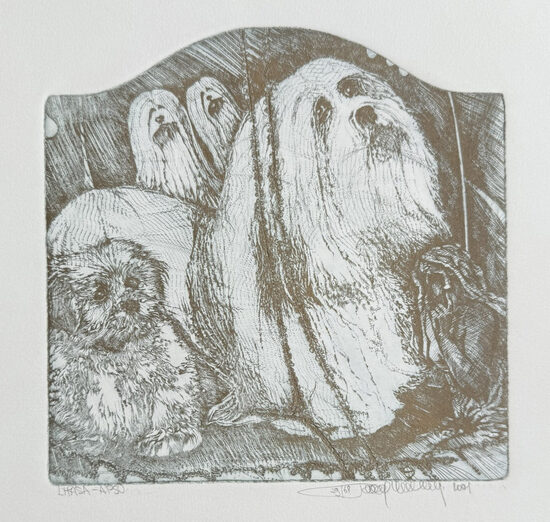 Pavel Hlavatý: Lhasa-Apso