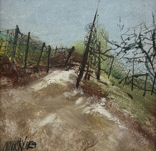 Josef Novický: Cestou necesto