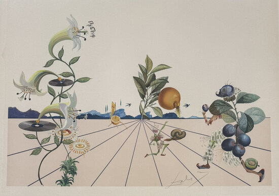 Salvador Dalí: Flor Dalí