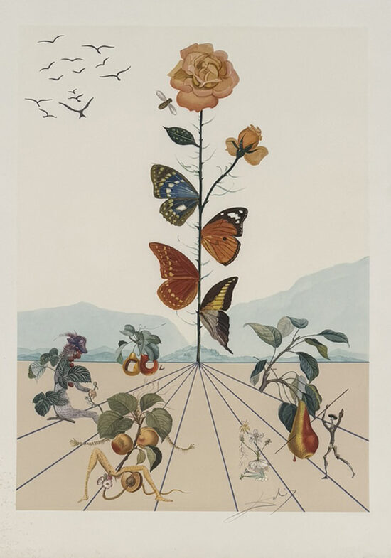 Salvador Dalí: Flor Dalí