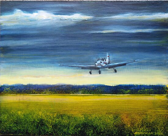 Petr Pavliňák: Airplane landing