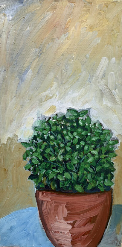 Sofia Prusali Kalliotzi: Bazalka