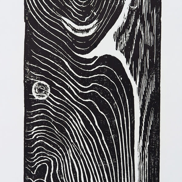 Překvapení (Tvary skryté ve dřevě), dřevořez, 50×23 cm, 1969
