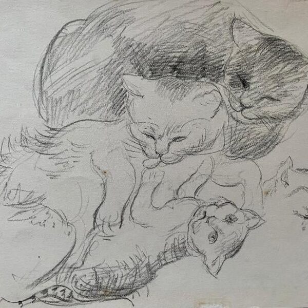 Koťata, kresba tužkou, 30×38 cm