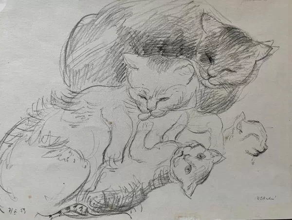 Koťata, kresba tužkou, 30×38 cm